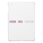 Class of 2018  iPad Mini Cases