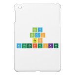 Gay
 Bitch
 Ass
 MotherFucker  iPad Mini Cases