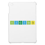 Investigate  iPad Mini Cases