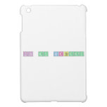 Its My Birthday  iPad Mini Cases