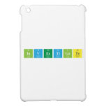 Investigate  iPad Mini Cases