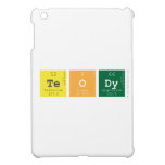 teody  iPad Mini Cases