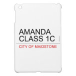 AMANDA class 1C  iPad Mini Cases