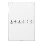 Prospect  iPad Mini Cases