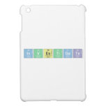 Investigate  iPad Mini Cases