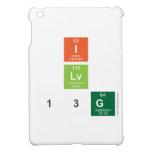 I
 Lv
 13g  iPad Mini Cases