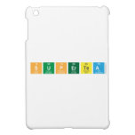 Supertea  iPad Mini Cases