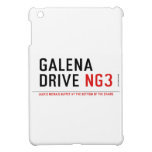 galena drive  iPad Mini Cases