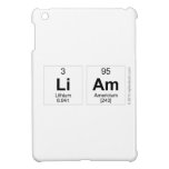 liam  iPad Mini Cases