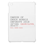 Canyon of chuck norris INFinity 2018 (D'oh)  iPad Mini Cases