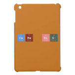 CARE BIG  iPad Mini Cases