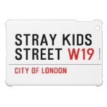 Stray Kids Street  iPad Mini Cases