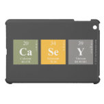Casey  iPad Mini Cases