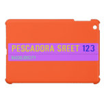 pescadora sreet  iPad Mini Cases