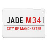 Jade  iPad Mini Cases