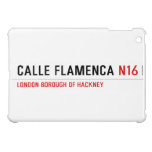 Calle Flamenca  iPad Mini Cases