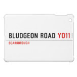 BLUDGEON ROAD  iPad Mini Cases