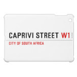 caprivi street  iPad Mini Cases