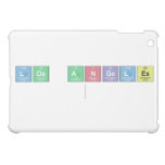 Los Angeles
   iPad Mini Cases