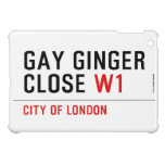GAY GINGER CLOSE  iPad Mini Cases
