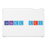 Canada Dry  iPad Mini Cases
