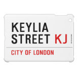 Keylia Street  iPad Mini Cases