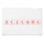 Alakananda  iPad Mini Cases