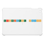 EXPERIMENT STATION
   iPad Mini Cases