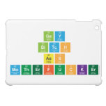 Gay
 Bitch
 Ass
 MotherFucker  iPad Mini Cases