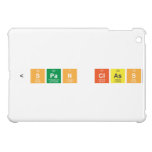  <span class  iPad Mini Cases