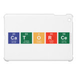 Catorce  iPad Mini Cases
