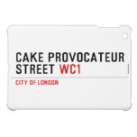 CAKE PROVOCATEUR  STREET  iPad Mini Cases