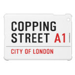 Copping Street  iPad Mini Cases