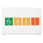 Punci  iPad Mini Cases