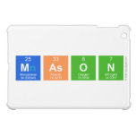 Mason  iPad Mini Cases
