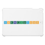 Congratulations!  iPad Mini Cases