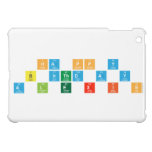 Ha pp y
 b irthd A y
 A L e x i s  iPad Mini Cases