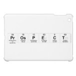 Prospect  iPad Mini Cases