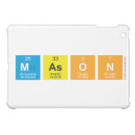 Mason  iPad Mini Cases