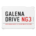 galena drive  iPad Mini Cases