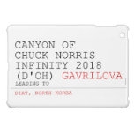 Canyon of chuck norris INFinity 2018 (D'oh)  iPad Mini Cases