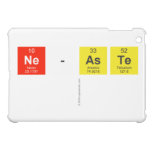 NE-ASTE
   iPad Mini Cases