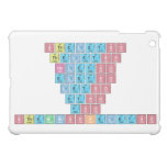 Stheletso
 Theletso
 Heletso
 Eletso
 Letso
 Etso
 Tso
 SthembisoKeletso  iPad Mini Cases