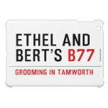 ETHeL and Bert’s  iPad Mini Cases