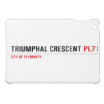 Triumphal Crescent  iPad Mini Cases