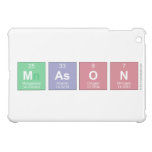 mason  iPad Mini Cases