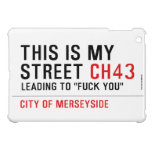 This is my  street  iPad Mini Cases