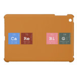 CARE BIG  iPad Mini Cases