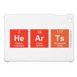 hearts  iPad MiniHoesjes