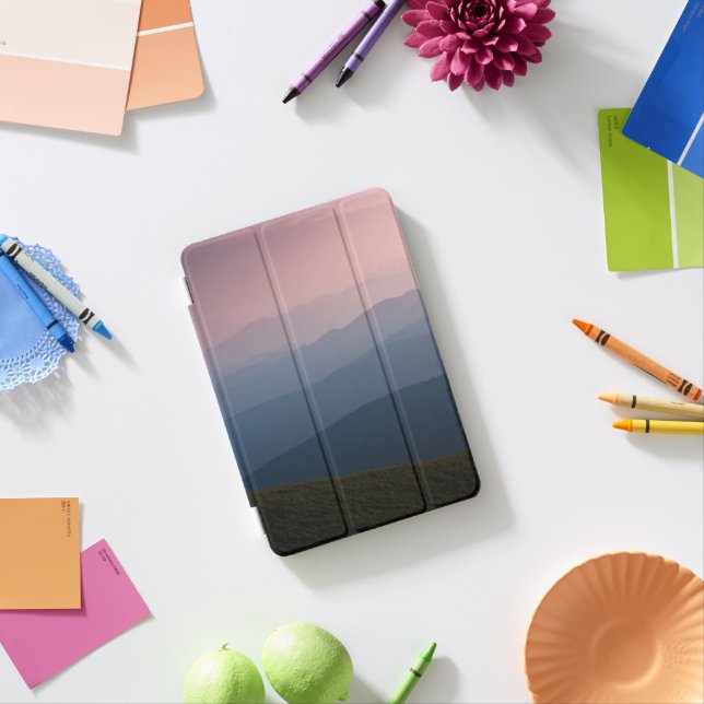 iPad pro 11 inch case (In Situ)